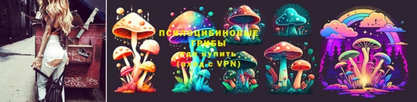 ALPHA-PVP Няндома