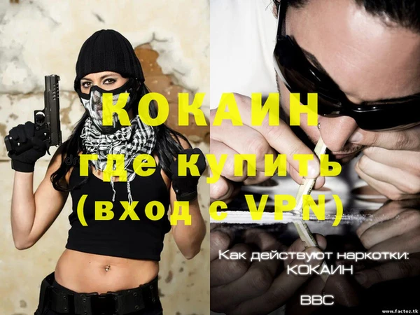 тгк Новозыбков