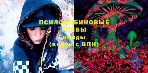 крисы Железноводск