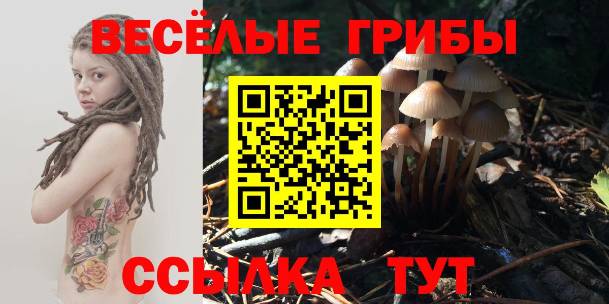 Псилоцибиновые грибы ЛСД Кудрово