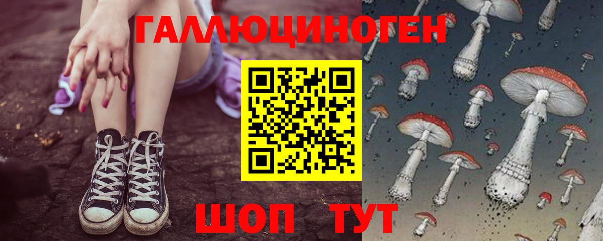 Галлюциногенные грибы Magic Shrooms Кудрово