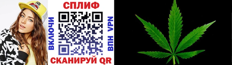 МЕГА зеркало  Кудрово  Шишки марихуана сатива 